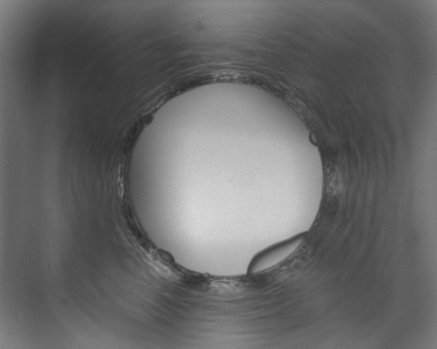 X0000074000666200608211109