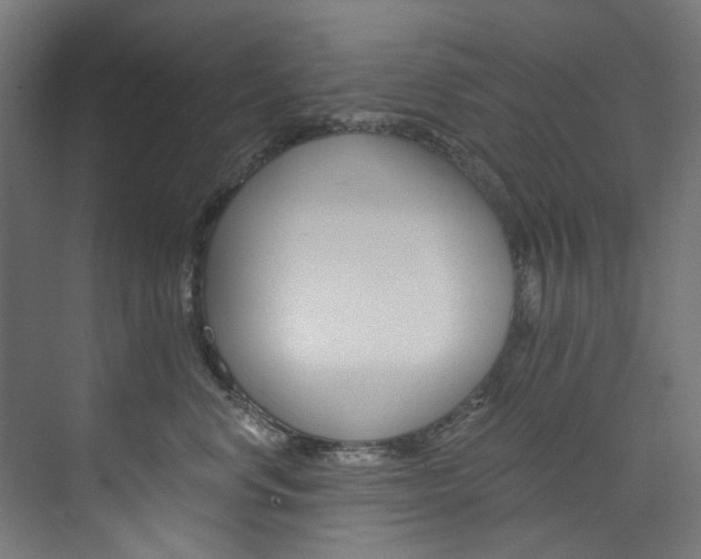 X0000074000668200608211109
