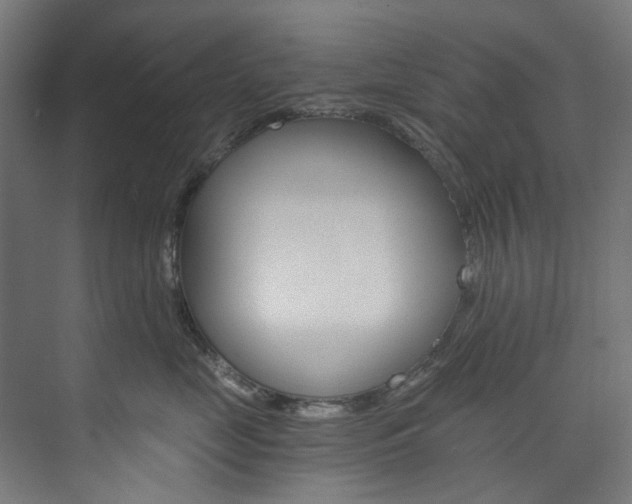 X0000074000669200608211109