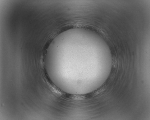 X0000074000670200608211109