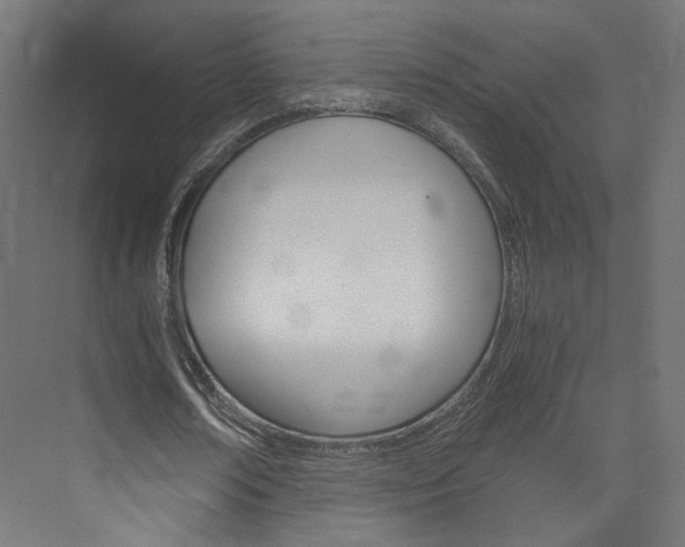 X0000074000674200608211108