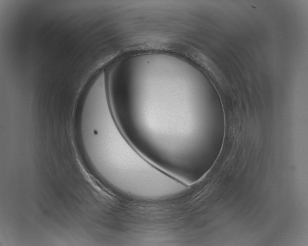 X0000074000677200608211108