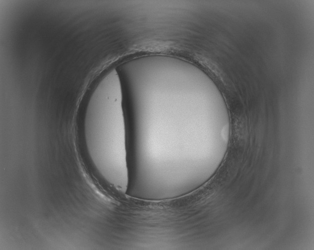 X0000074000682200608211108
