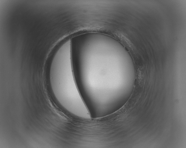 X0000074000684200608211108
