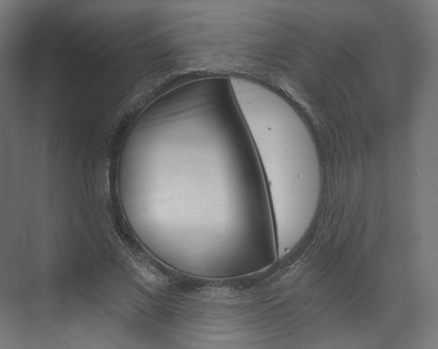X0000074000685200608211108