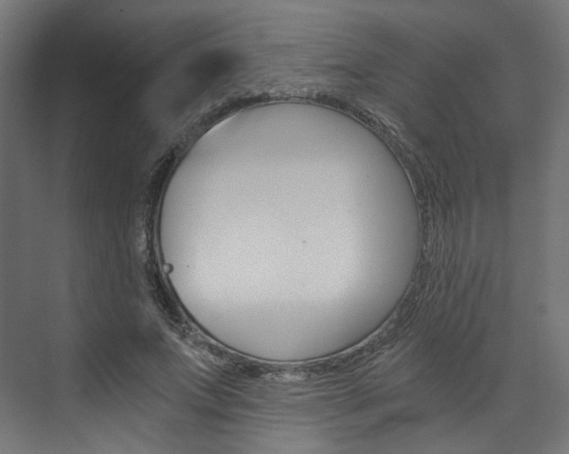 X0000074000687200608211108