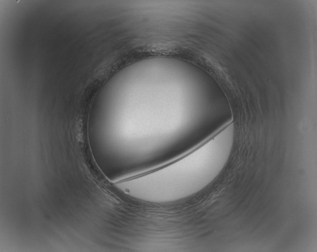 X0000074000689200608211108