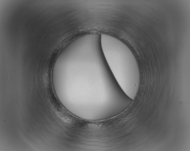 X0000074000690200608211108