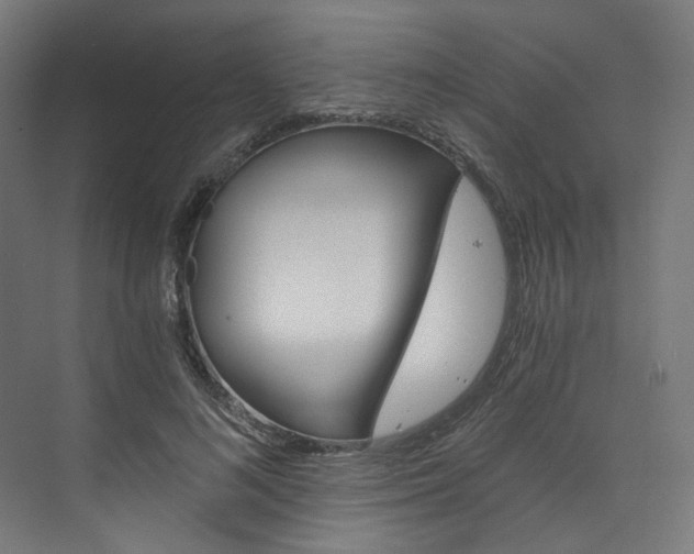 X0000074000692200608211108