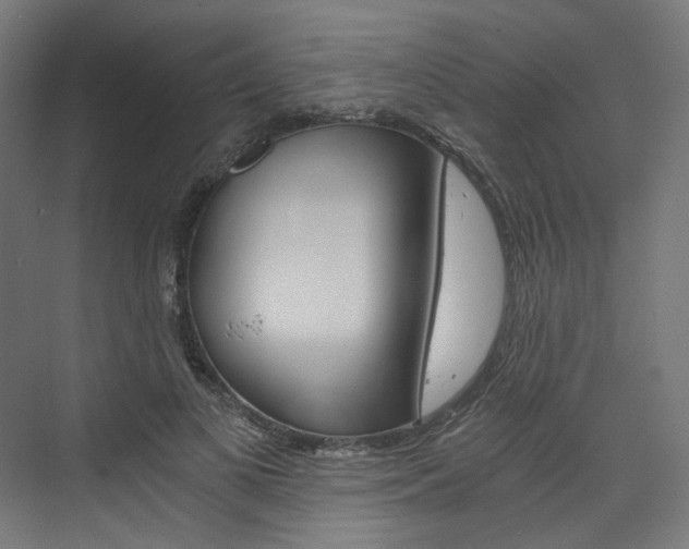 X0000074000693200608211108