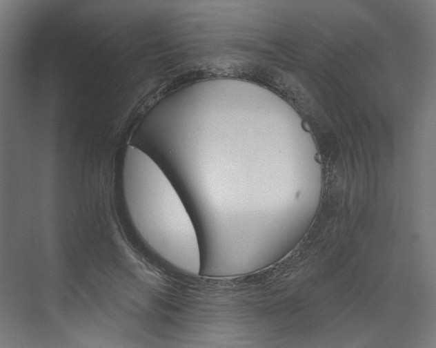 X0000074000694200608211108