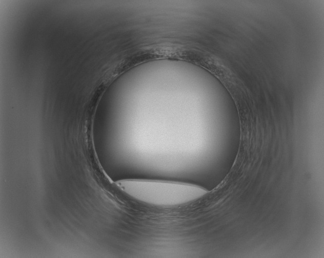 X0000074000696200608211108