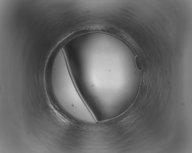 X0000074000722200608211107
