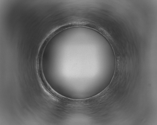 X0000074000726200608211107