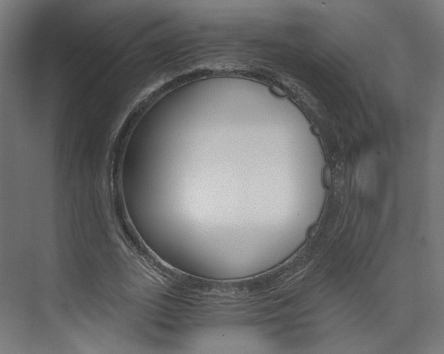X0000074000727200608211107