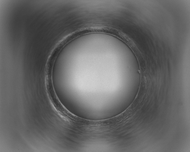 X0000074000728200608211107