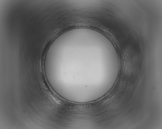 X0000074000729200608211107