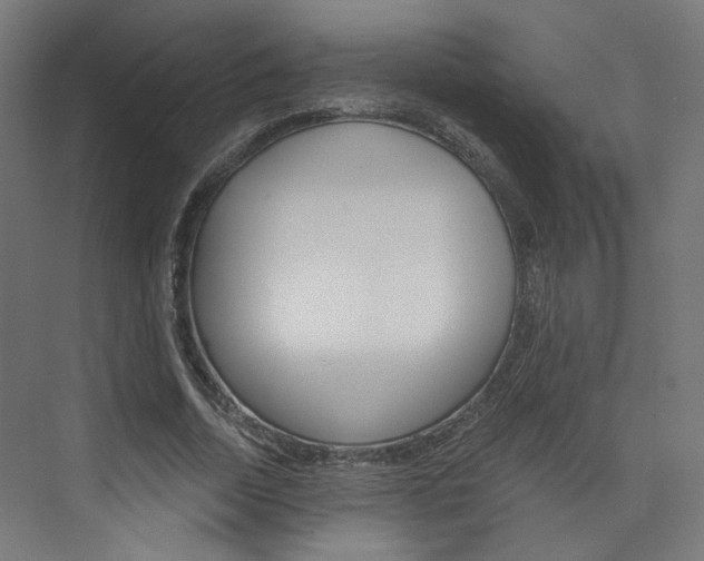 X0000074000730200608211107
