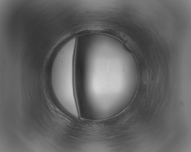 X0000074000731200608211107
