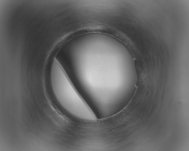 X0000074000732200608211107