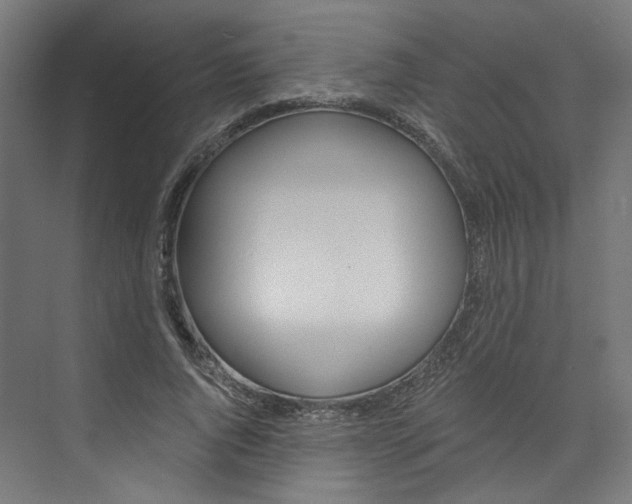 X0000074000736200608211107