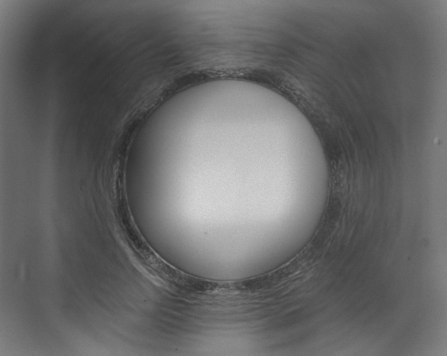 X0000074000742200608211107