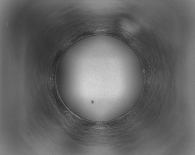 X0000074000743200608211107