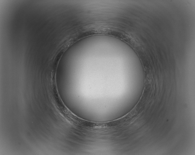 X0000074000744200608211107