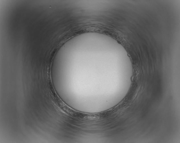 X0000074000745200608211107