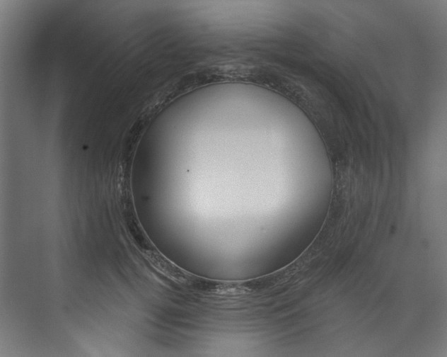 X0000074000752200608211107