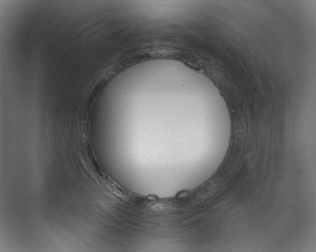 X0000074000755200608211107