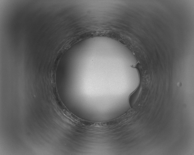 X0000074000756200608211107