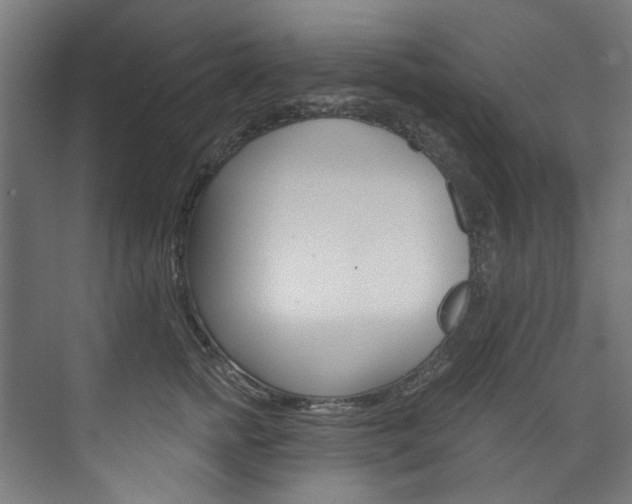 X0000074000758200608211107