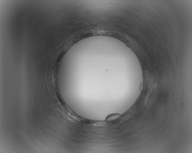 X0000074000761200608211107