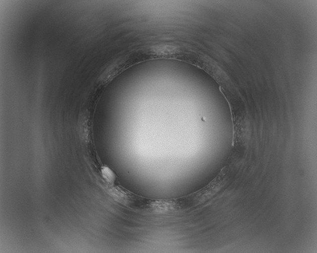 X0000074000762200608211107
