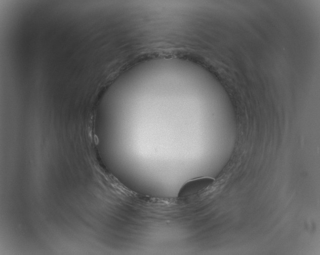 X0000074000768200608211108