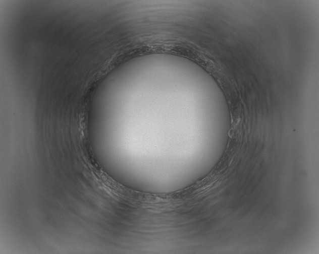 X0000074000772200608211107