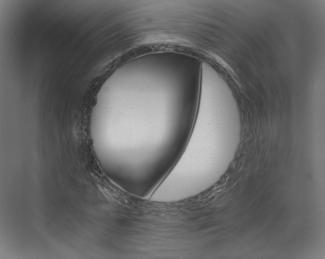 X0000074000775200608211107