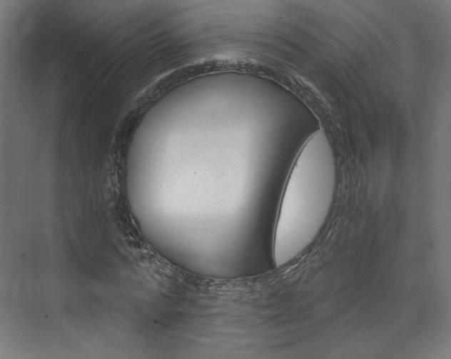 X0000074000776200608211107