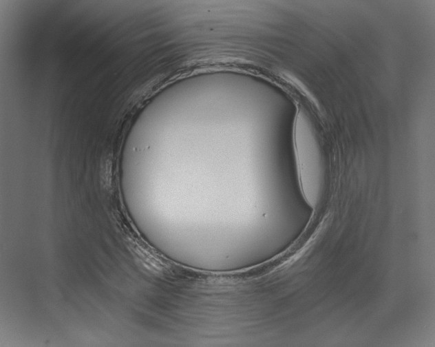 X0000074000777200608211107