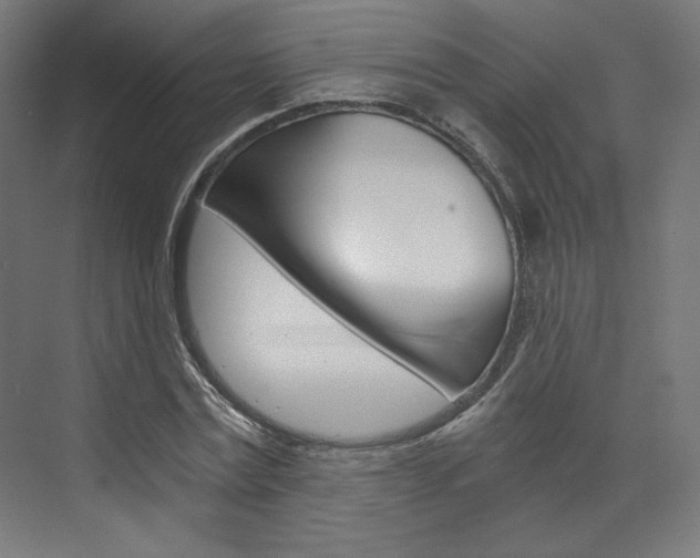 X0000074000779200608211107