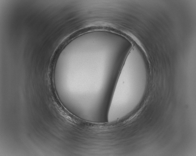 X0000074000783200608211106