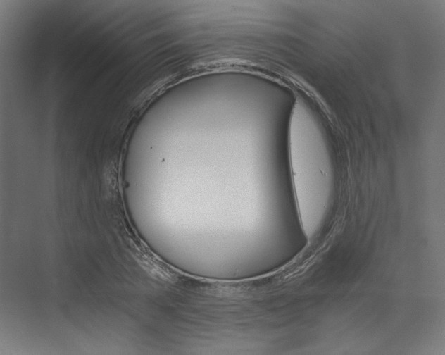 X0000074000785200608211106