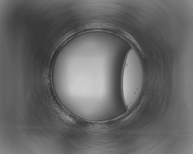 X0000074000786200608211106