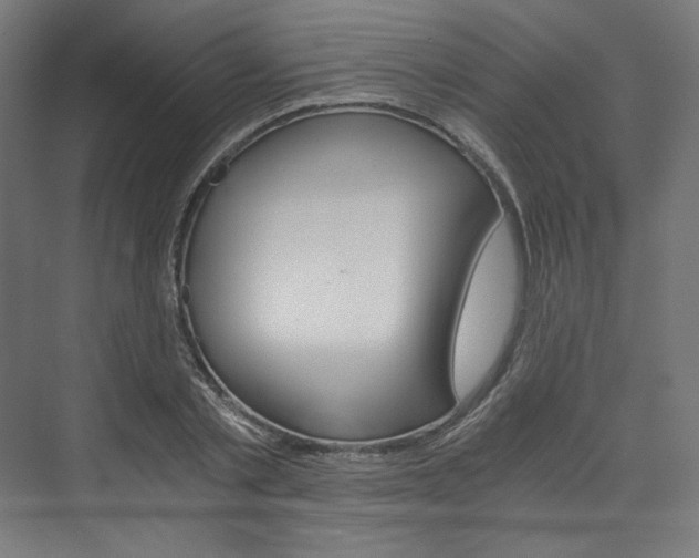 X0000074000789200608211106