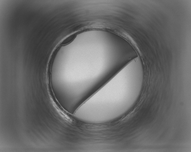 X0000074000795200608211106