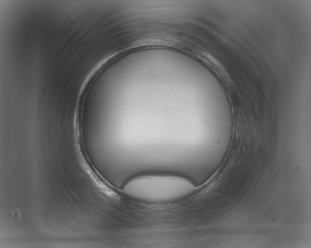 X0000074000796200608211106