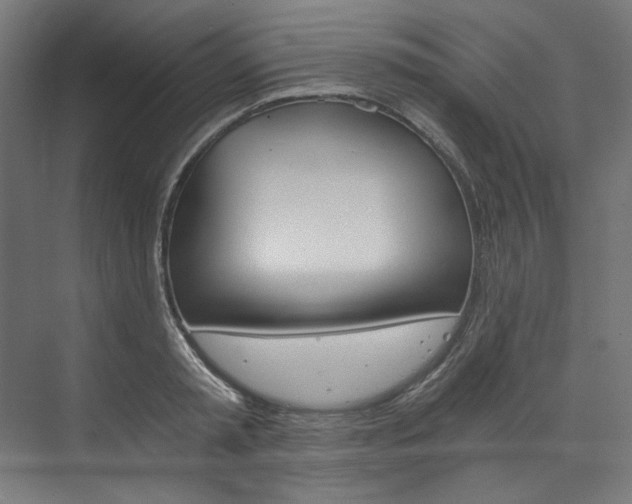 X0000074000797200608211106