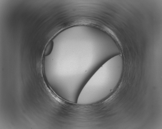 X0000074000802200608211106