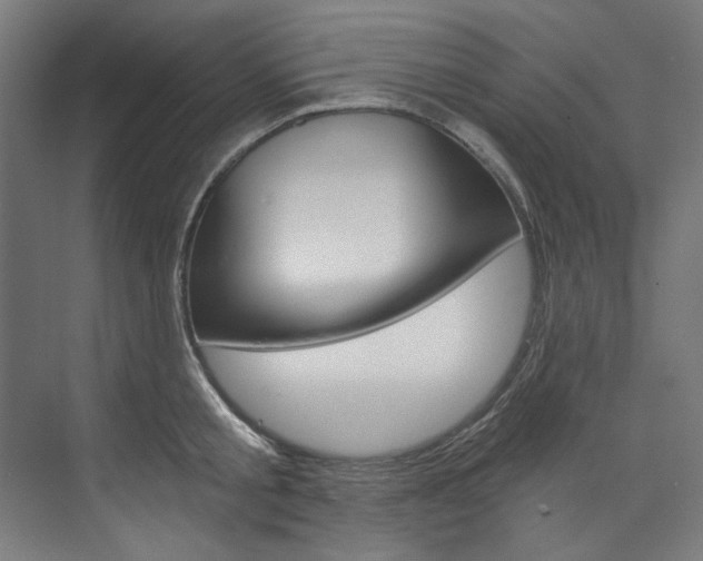 X0000074000805200608211106